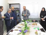 برگزاری جشنواره غذاهای محلی