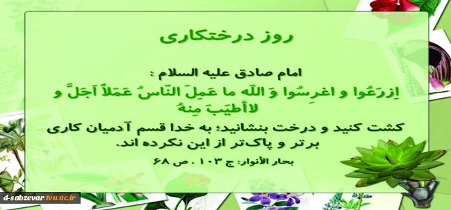 درختکاری