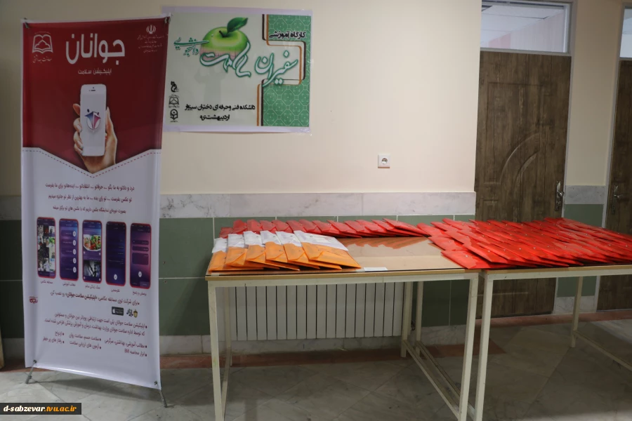برگزاری طرح سفیران سلامت