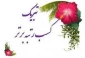 کسب رتبه برتر در بیست و هشتمین جشنواره سراسری قرآن و عترت دانشجویان دانشکده های فنی و حرفه ای کل شکور