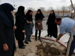 آیین درختکاری در  دانشکده فنی و حرفه ای دختران سبزوار  به روایت  تصویر  10