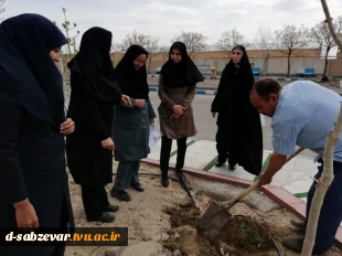 آیین درختکاری در  دانشکده فنی و حرفه ای دختران سبزوار  به روایت  تصویر  10
