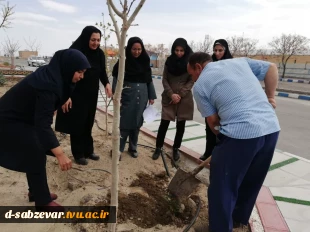 آیین درختکاری در  دانشکده فنی و حرفه ای دختران سبزوار  به روایت  تصویر  11
