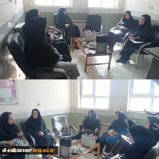 برگزاری  جلسه هم اندیشی اساتید رشته تربیت کودک