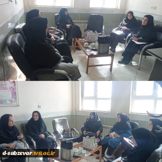 برگزاری  جلسه هم اندیشی اساتید رشته تربیت کودک